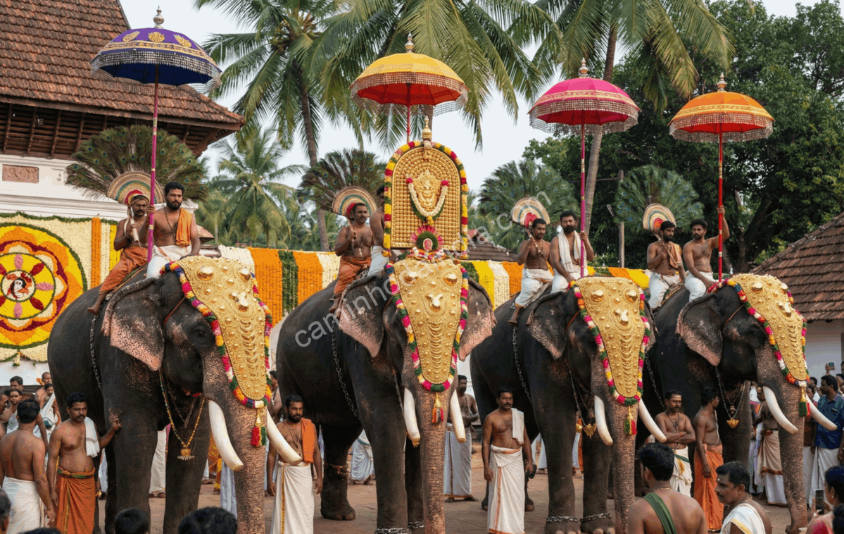 Elefantes decorados com ornamentos tradicionais antes de uma procissão durante o Onam em Kerala