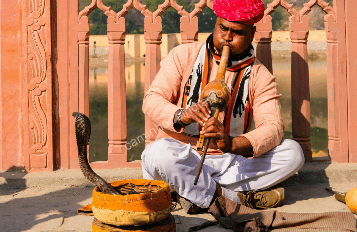 encantador-de-serpentes-india-manuseando-cobra Encantador de serpentes na Índia manuseando uma cobra durante naag panchami
