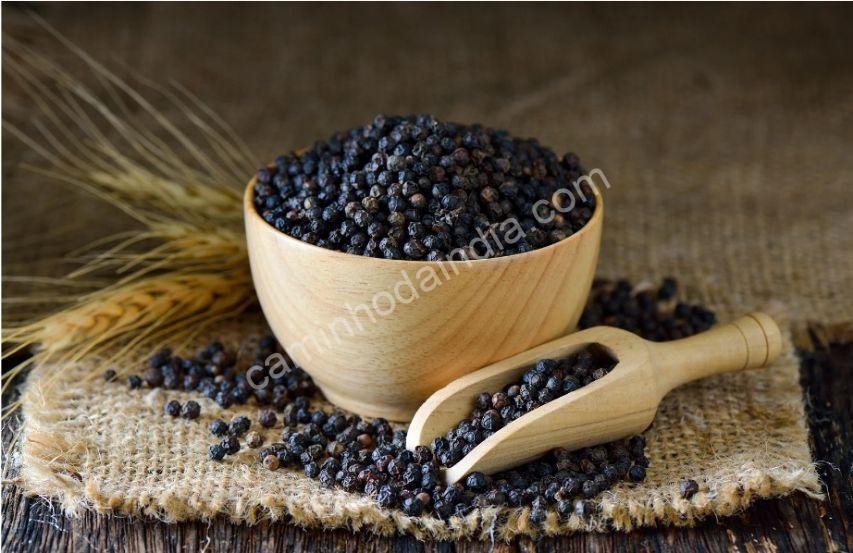 pimenta-preta Grãos de pimenta preta