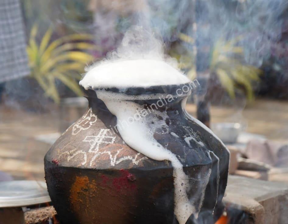 O arroz transbordando da panela simboliza abundância e bênçãos durante o pongal festival em tamil nadu