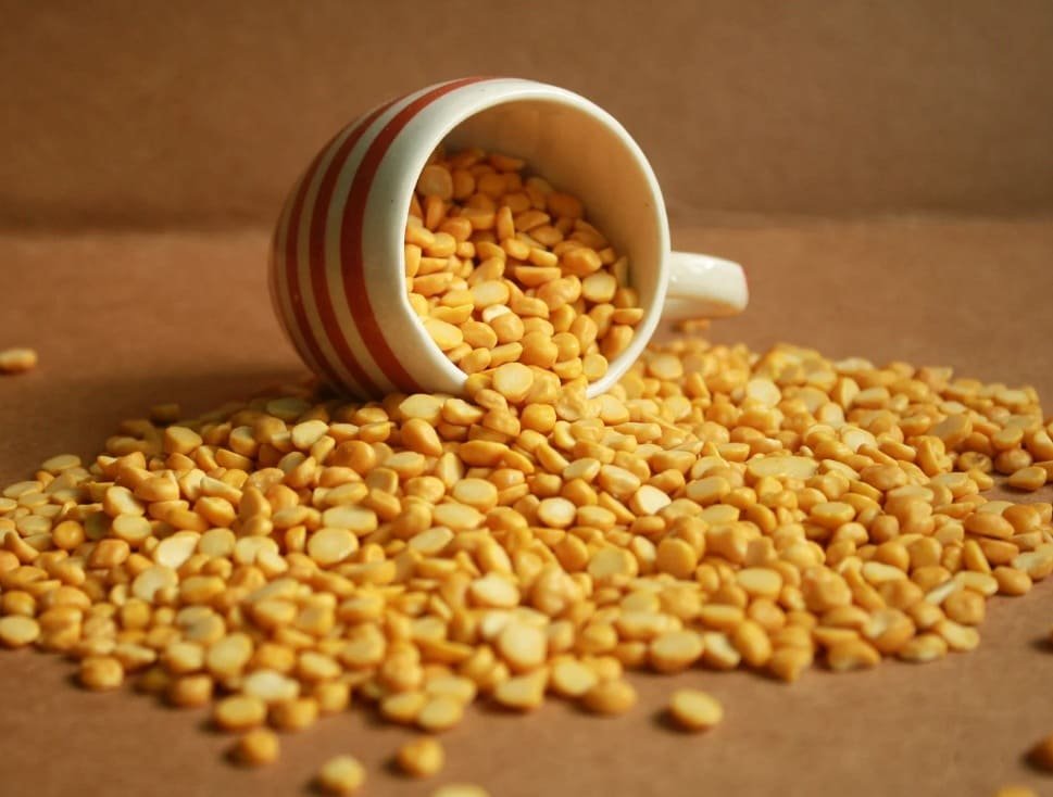 Chana Dal, ingrediente típico da culinária indiana, essencial em receitas festivas e do dia a dia