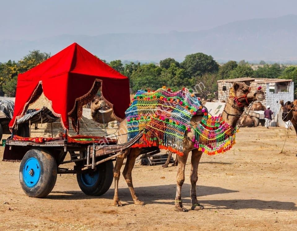 Feira de Pushkar 2025