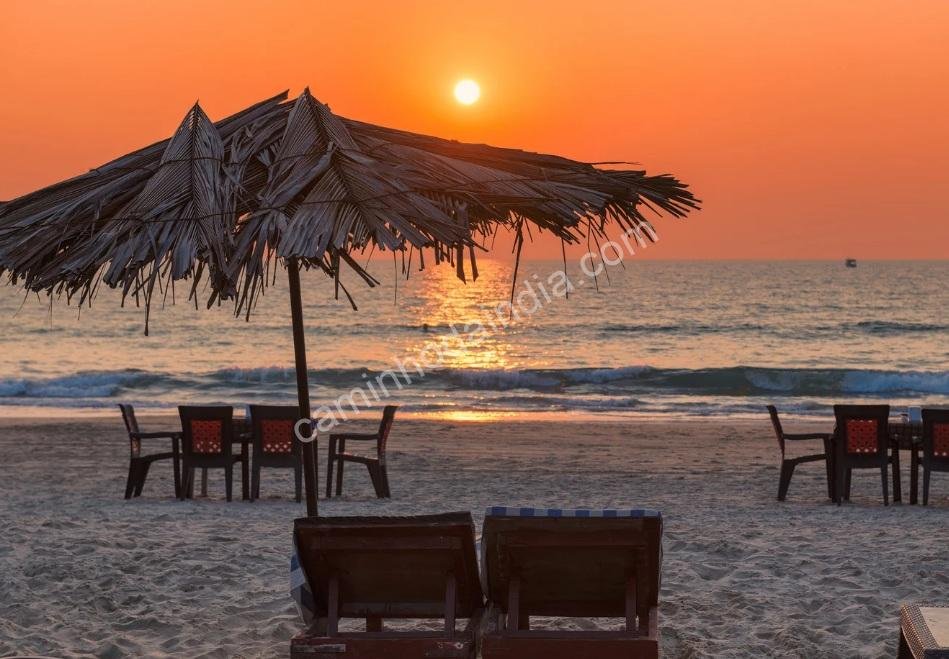 International Purple Fest 2025 Goa