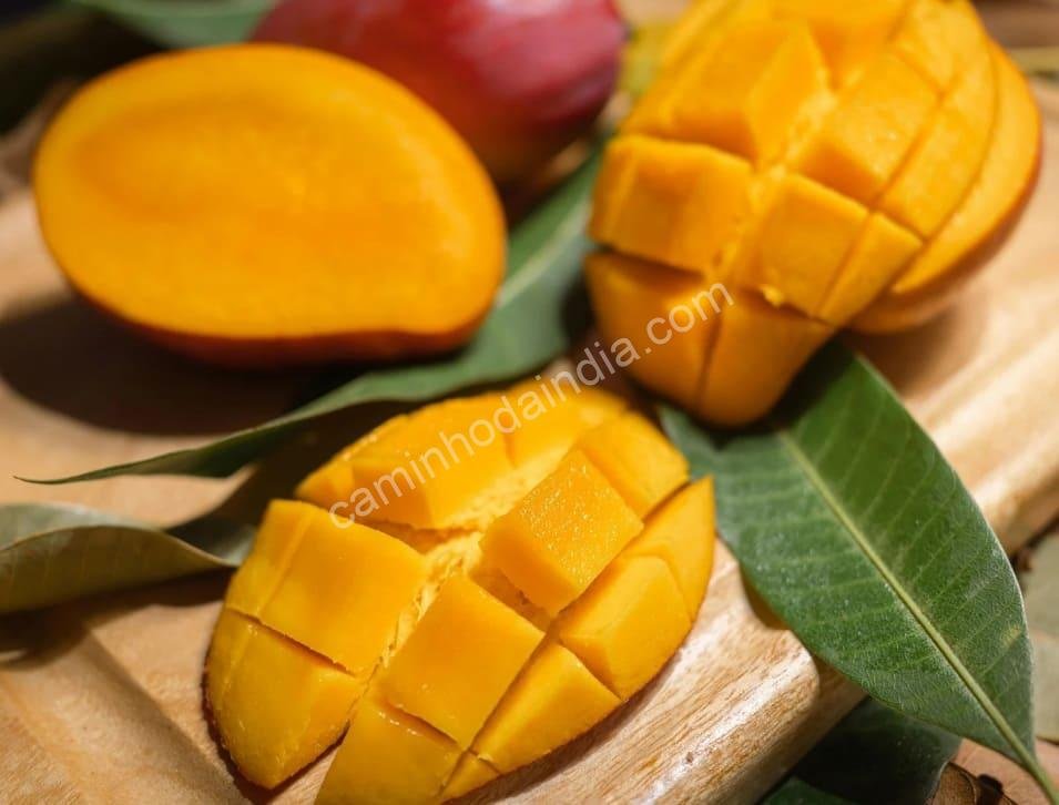 mangas-cortadas-em-cubos-para-acompanhar-aamras Cubos de manga fresca servidos junto ao aamras, uma combinação perfeita de cor, doçura e tradição