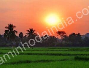 Fim de tarde sereno próximo a uma fazenda, capturando a beleza da natureza e da vida rural
