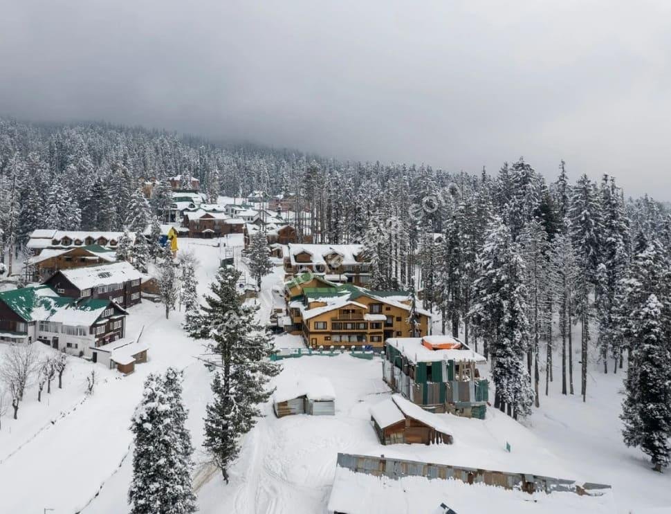 regiao-nevada-kashmir Região coberta de neve em Kashmir, Índia, com montanhas e árvores brancas no inverno