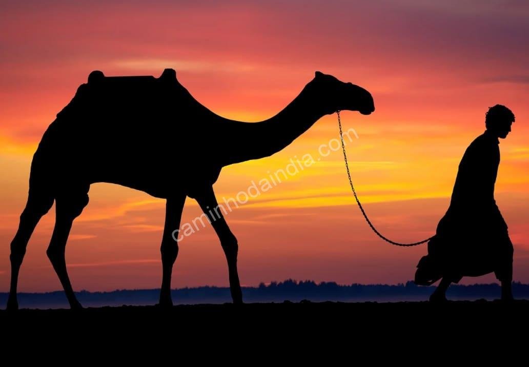adolescente-conduzindo-camelo-deserto-arabia As rotas do deserto árabe desempenharam um papel central na difusão dos números indo-arábicos entre a Índia, a África e a Europa