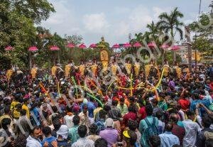 Elefantes decorados durante o festival Trisshur Pooram