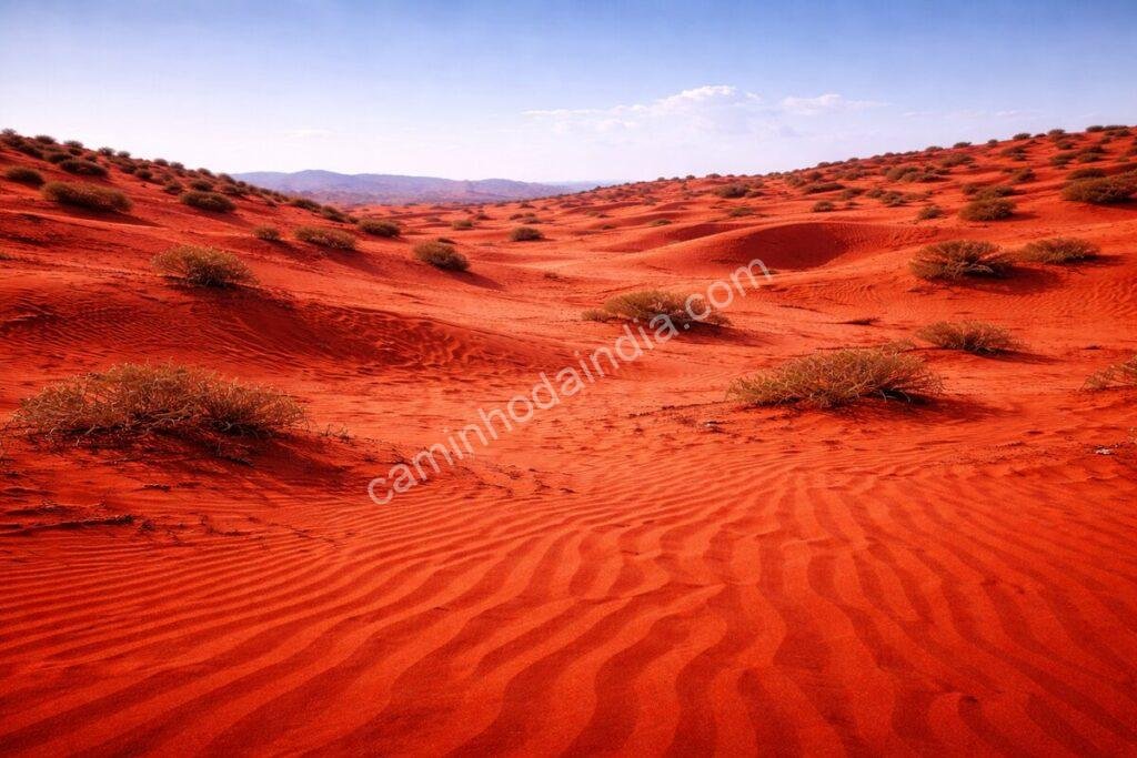 theri kaadu tamil nadu