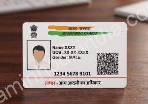 Aadhaar: A identidade digital da Índia